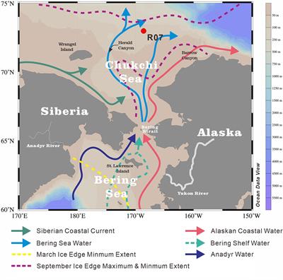 Biomarker evidence of the water mass structure and primary productivity changes in the Chukchi Sea over the past 70 years